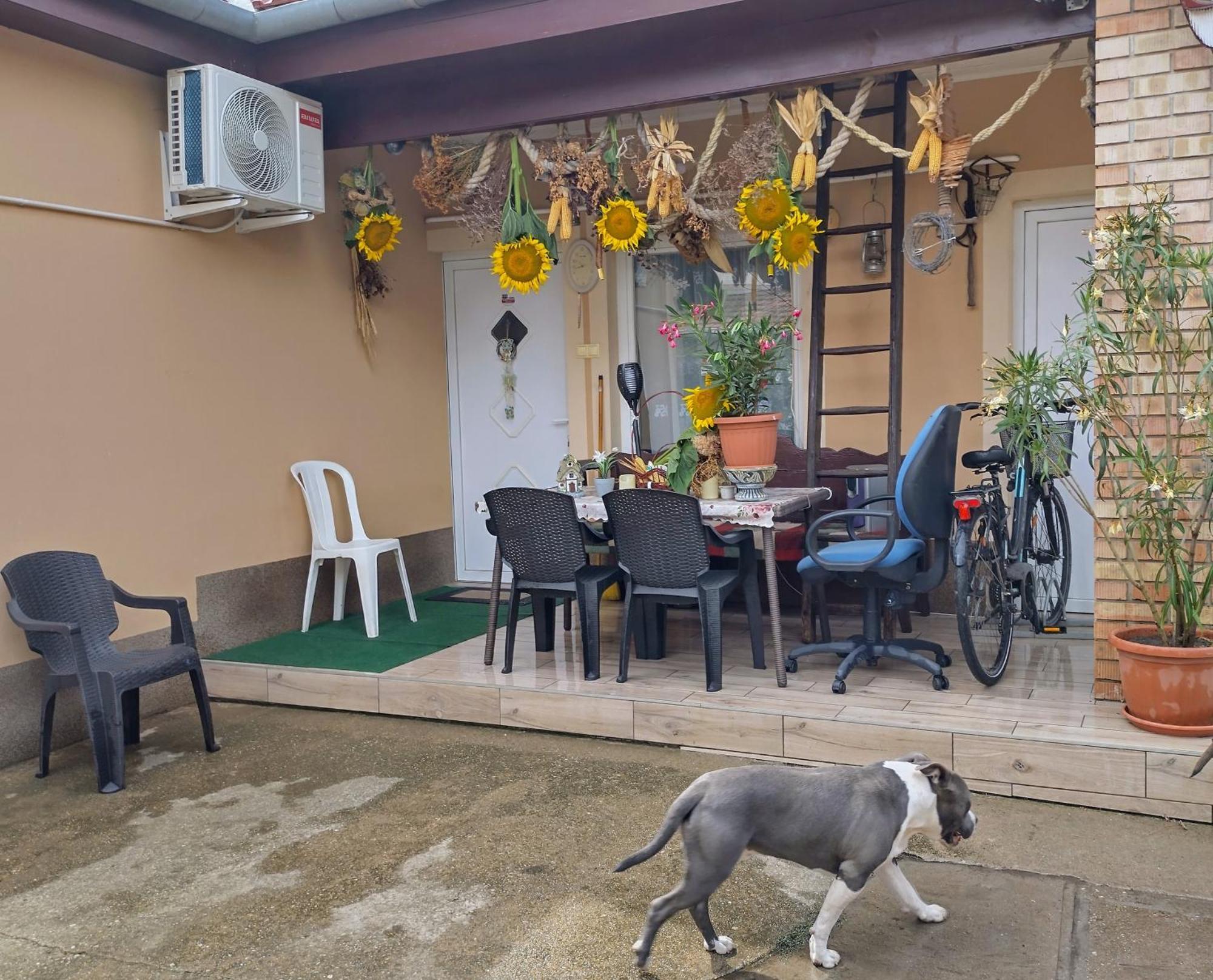 Bundik Vendeghaz Appartement Berettyóújfalu Buitenkant foto