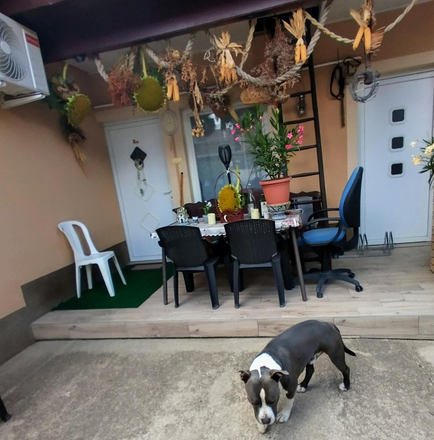 Bundik Vendeghaz Appartement Berettyóújfalu Buitenkant foto
